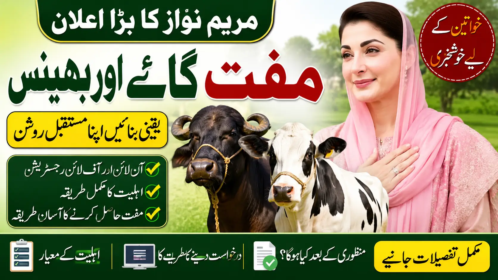 Maryam Nawaz Free Cow & Buffalo Scheme: Eligibility, Benefits and Details