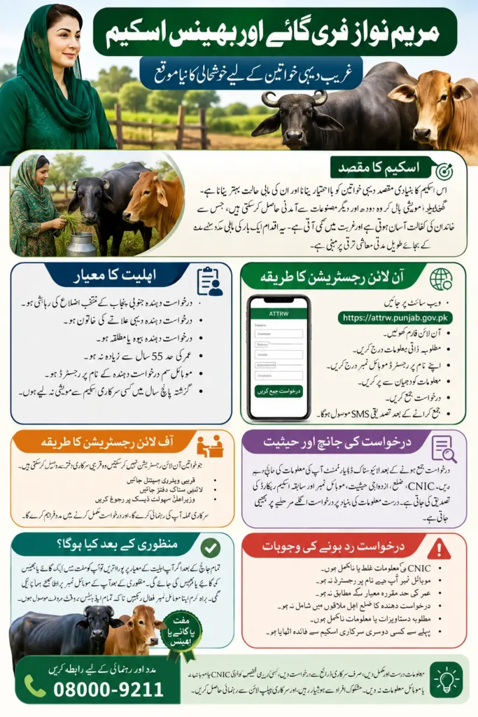 Maryam Nawaz Free Cow & Buffalo Scheme: Eligibility, Benefits and Details